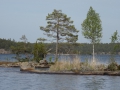 Schweden2015-034